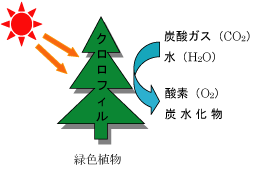 光触媒とはなにか